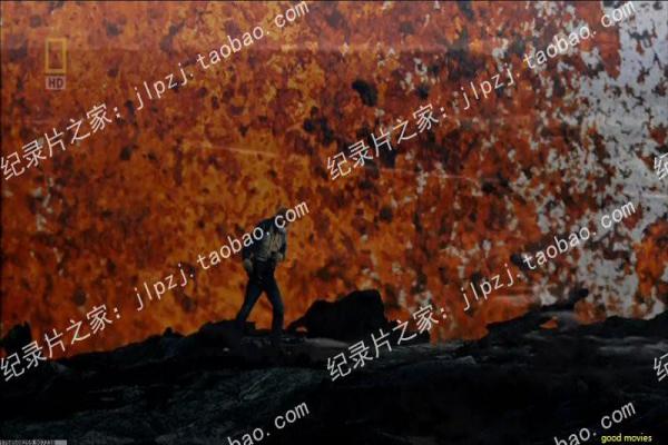 《云雀行动》影片解析,云雀行动谍战的剖析