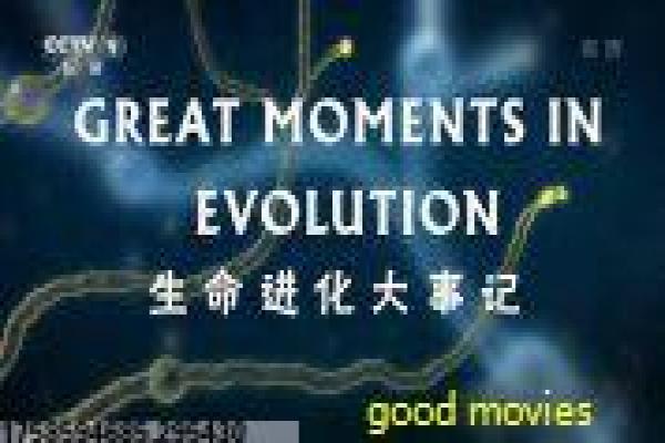 《凡妮莎海辛第四季》凡妮莎海辛第四季终战,第四季美剧深度解析吸血猎人的黑暗奇幻热血巅峰