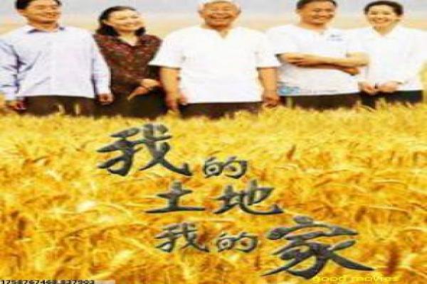 《海盗2,鬼怪的旗帜》影视讲解全析,2海盗鬼怪的冒险与旗帜