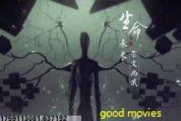 国土安全第二季-国土安全第二季伊朗阴,第二季解析CIA反恐与卧底的双重危机美剧
