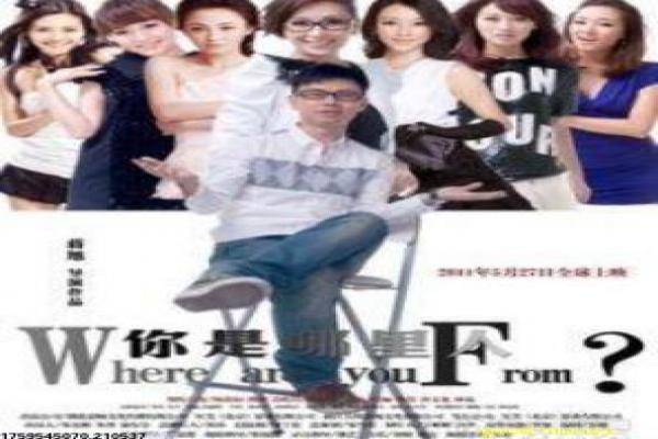 大师兄影视-大师兄的校园热血,剖析甄子丹