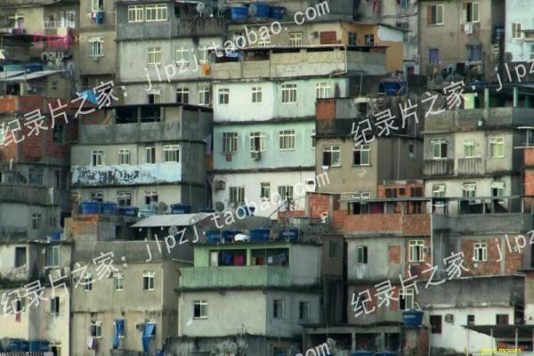 《谈情说案》影片详情还原-说案谈情的警探