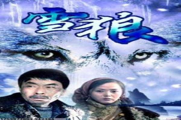 《复仇战姬》复仇战姬的女性复仇,深度解析法国动作片的血腥与人性