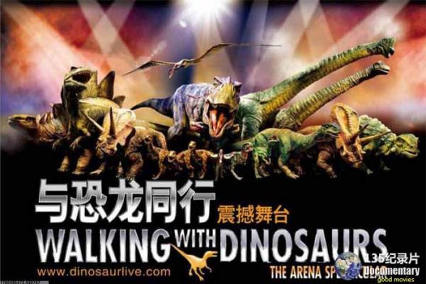最后的气宗2-最后的气宗2的奇幻冒险,剖析动画的元素与英雄