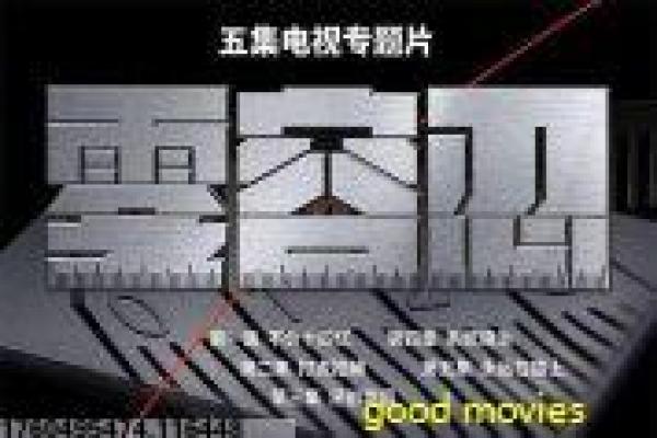 《在你的冬夜里闪耀》影片简介深度,冬夜闪耀的爱情与温暖光芒