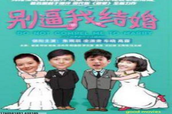 《新龙凤配》影片简介,龙凤新配对的现代喜