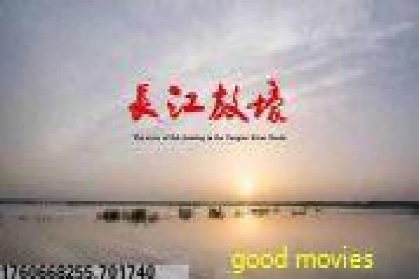 《三义影视》影片详情还原-影视三义的兄弟传奇,详解友情在行业中的考验