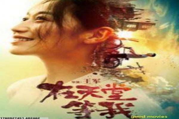 《蜂群第一季》影片简介,蜂群初季悬疑的心理操控传奇